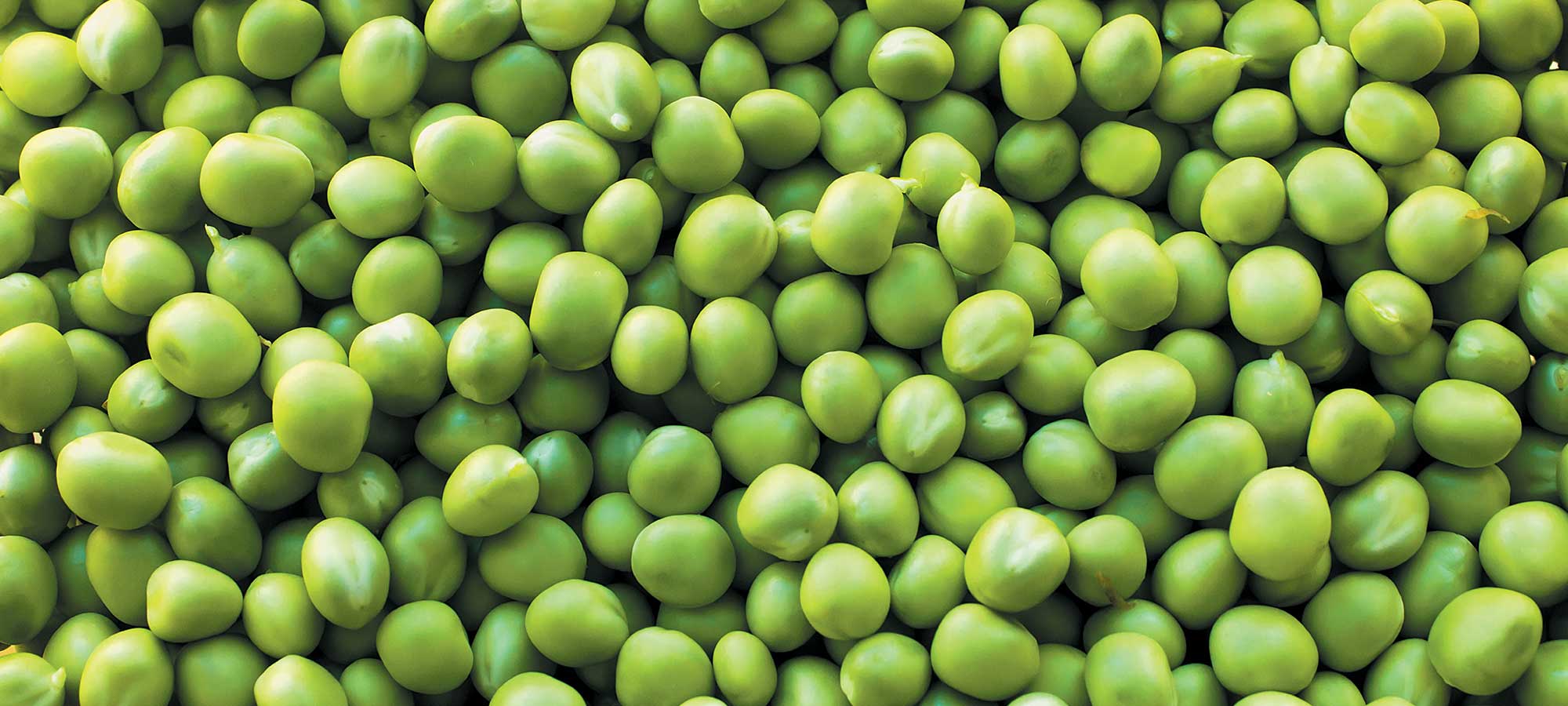 Lucky Farms Peas